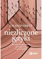 Niezliczone języki
