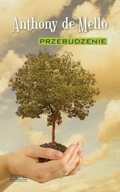 Przebudzenie OPR. TW. Outlet