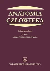 Anatomia człowieka