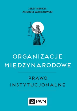 Organizacje międzynarodowe, Prawo instytucjonalne