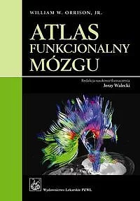Atlas funkcjonalny mózgu