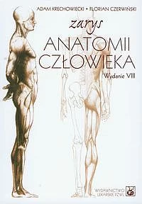 Zarys anatomii człowieka
