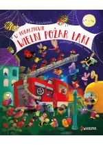 W Robaczkowie. Wielki pożar łąki.